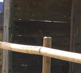 Premiumspazierweg Früchtetrauf-Leisawegle