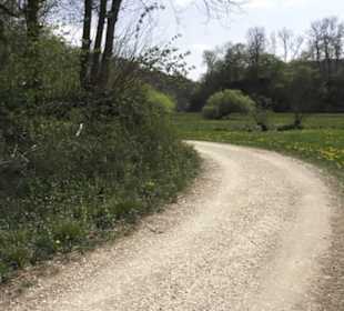 Waldlehrpfad an der Lauter