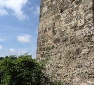 Burgruine Niederhaus