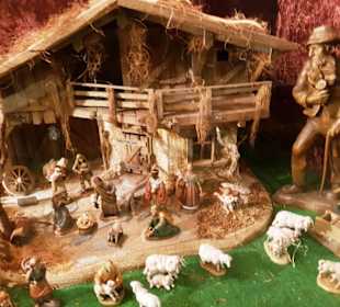 Grippenausstellung versch. Leihgaben