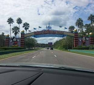 Zum Disney Parking