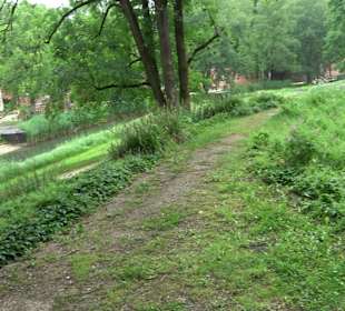 Baumlehrpfad Glacis Park
