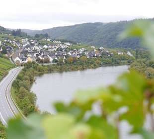 Wandern Burg (Mosel)