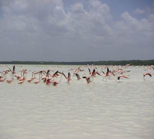Salzwasserlagune von Celestum