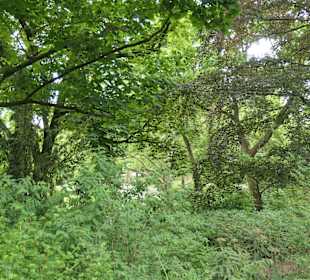 Unterwegs im Victoria-Park in Berlin Kreuzberg