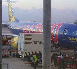 Unser Bärchen-Flieger