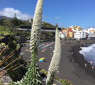 Playa Maria Jiménez