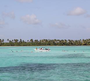 Blick zur Sandbank mit Seesterne