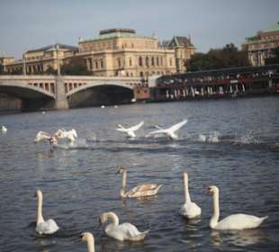 Под Карловым мостом