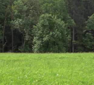 Premiumspazierweg Früchtetrauf-Leisawegle