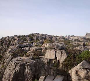 Unterwegs auf dem Tafelberg