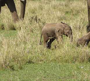 Mama nicht so schnell, ich hab doch kurze Beine