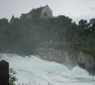 Rheinfall und Schloss