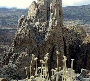Markanter Fels der Roques de Garcia