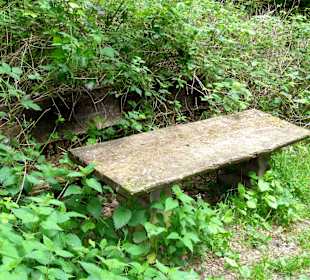 Ruhebank am Rundweg