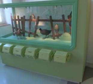 Museum Natur und Mensch