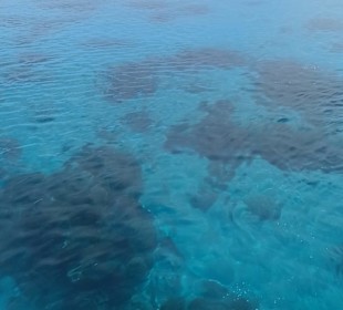 Schnorcheln Abu Soma