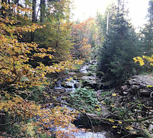 Wandern Miesenbach bei Birkfeld