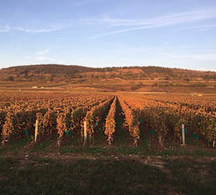 Wandern Chassey le Camp