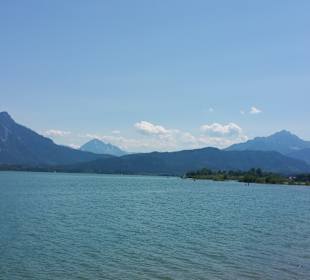 Forggensee 