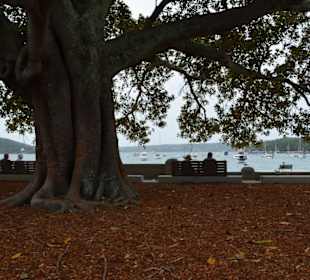 Balmoral Beach 