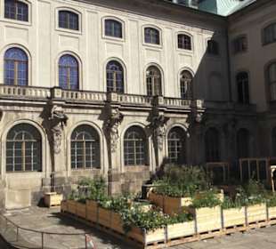 Japanisches Palais