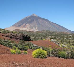 Teide Ausflug - Ein absolutes Muss