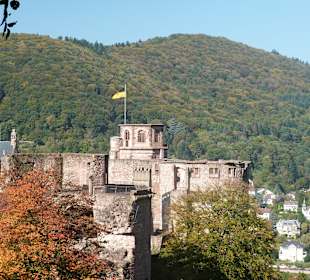 Blick auf's Heidelberger Schloß