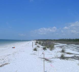 Endloser Traumstrand