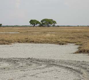 Makgadikgadi-Salzpfanne