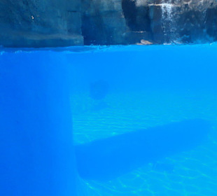 Mundomar Juillet 2011