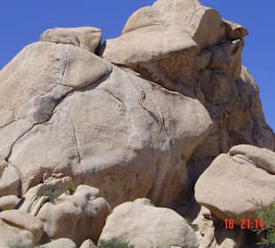 joshua Tree National Park
