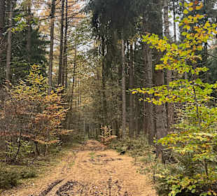 Wandern Molbergen