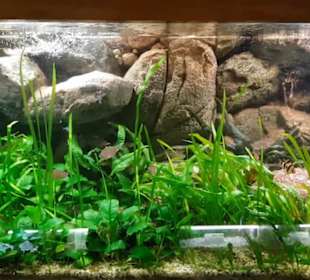 Exotarium