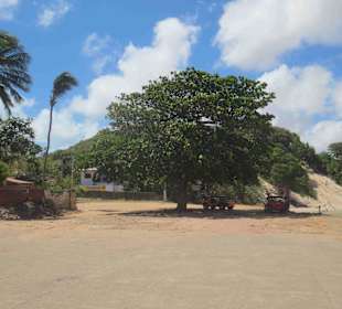 Strand an den Dünen