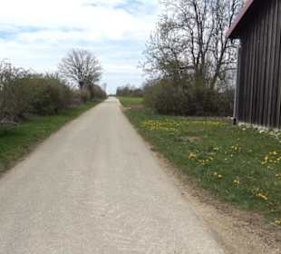 Vulkankrater-Rundweg Apfelstetten