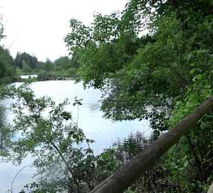 Wanderrunde Emeringen zum Rechtenstein