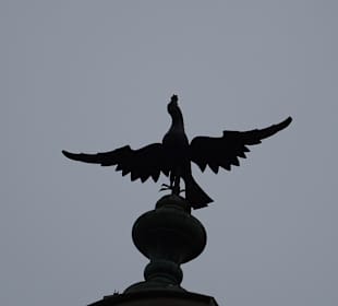 Stadtrundgang Würzburg