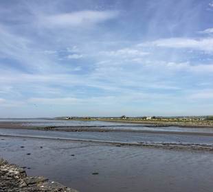 Blick auf den River Lee