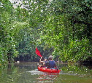 Kajaktouren 