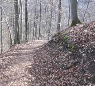 Wasserfallsteig