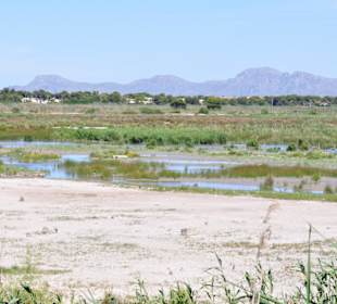 Naturpark S'Albufera