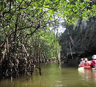 Kanutour