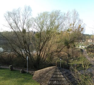 Blick zum See