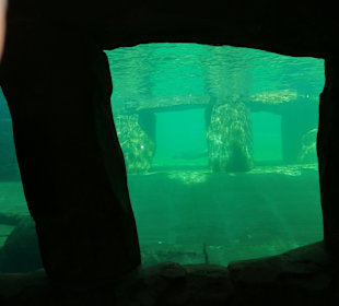 Zoologischer Garten Prag