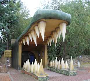 Cango Wildlife Ranch
