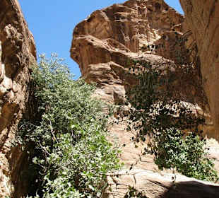 Spacer po Mieście Wykutym w Skale - Petra