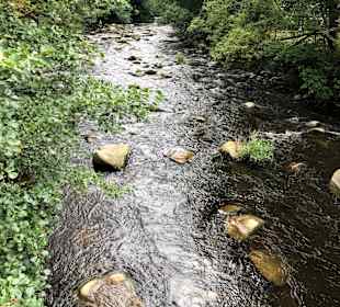 Wandern Thale