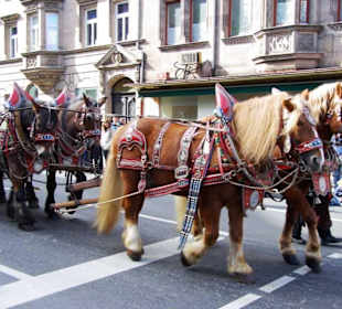 Landwehr Bräu Reichelshofen