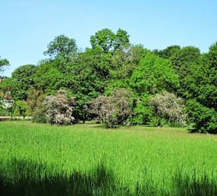 Rundgang durch den Hinüberscher Garten